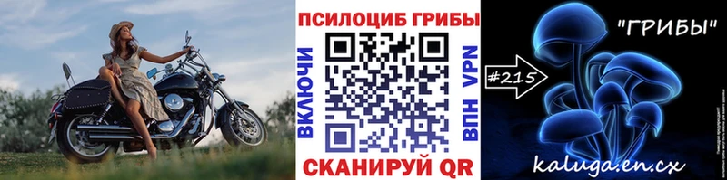 Псилоцибиновые грибы MAGIC MUSHROOMS Порхов