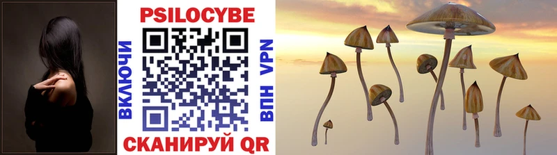Галлюциногенные грибы Cubensis Порхов