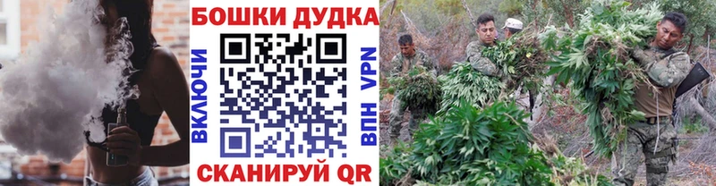 Канабис сатива  как найти закладки  мега ссылки  Порхов 